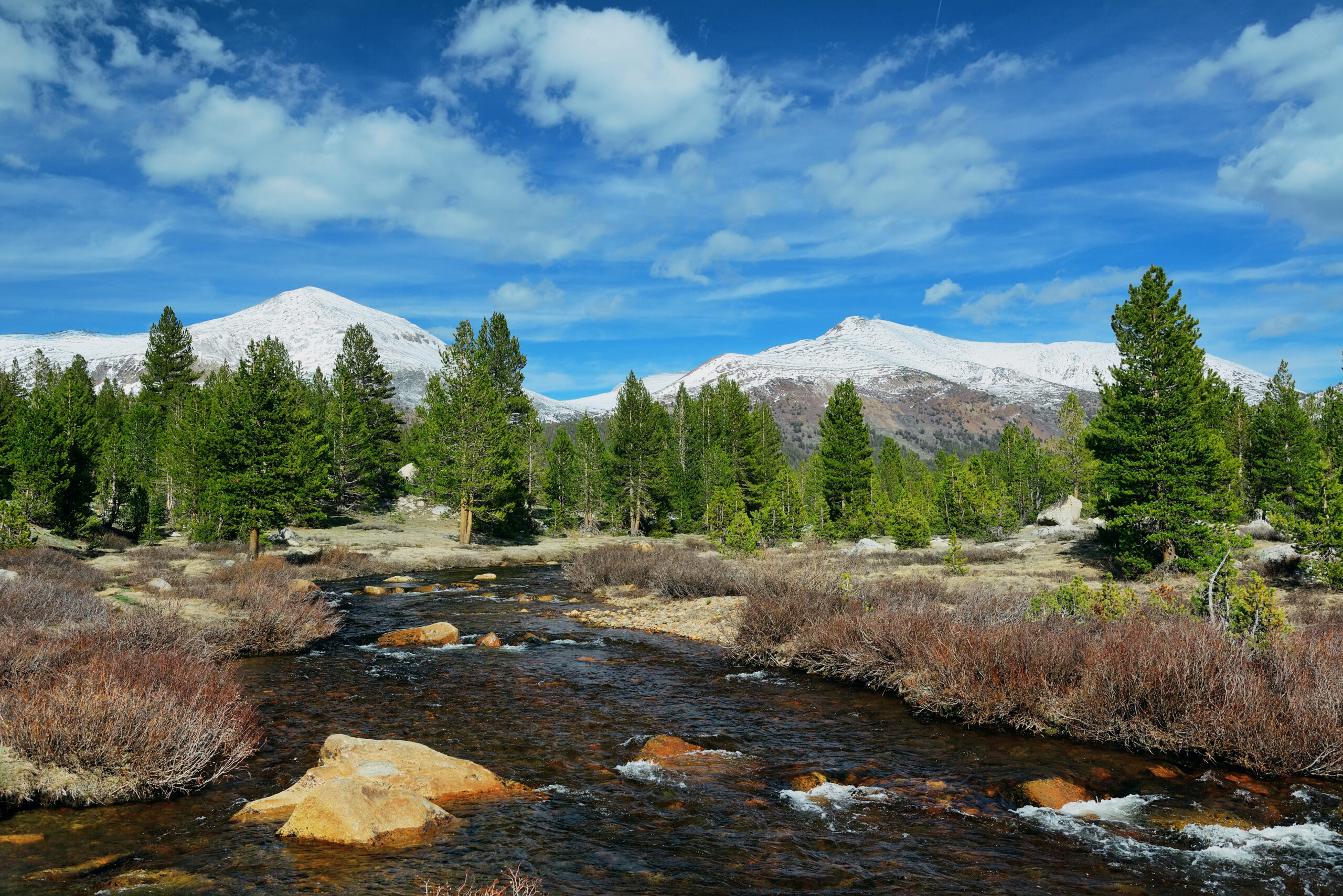 Rocky creek flowing through pine forest toward snow-covered mountains beneath a blue, cloud-filled sky