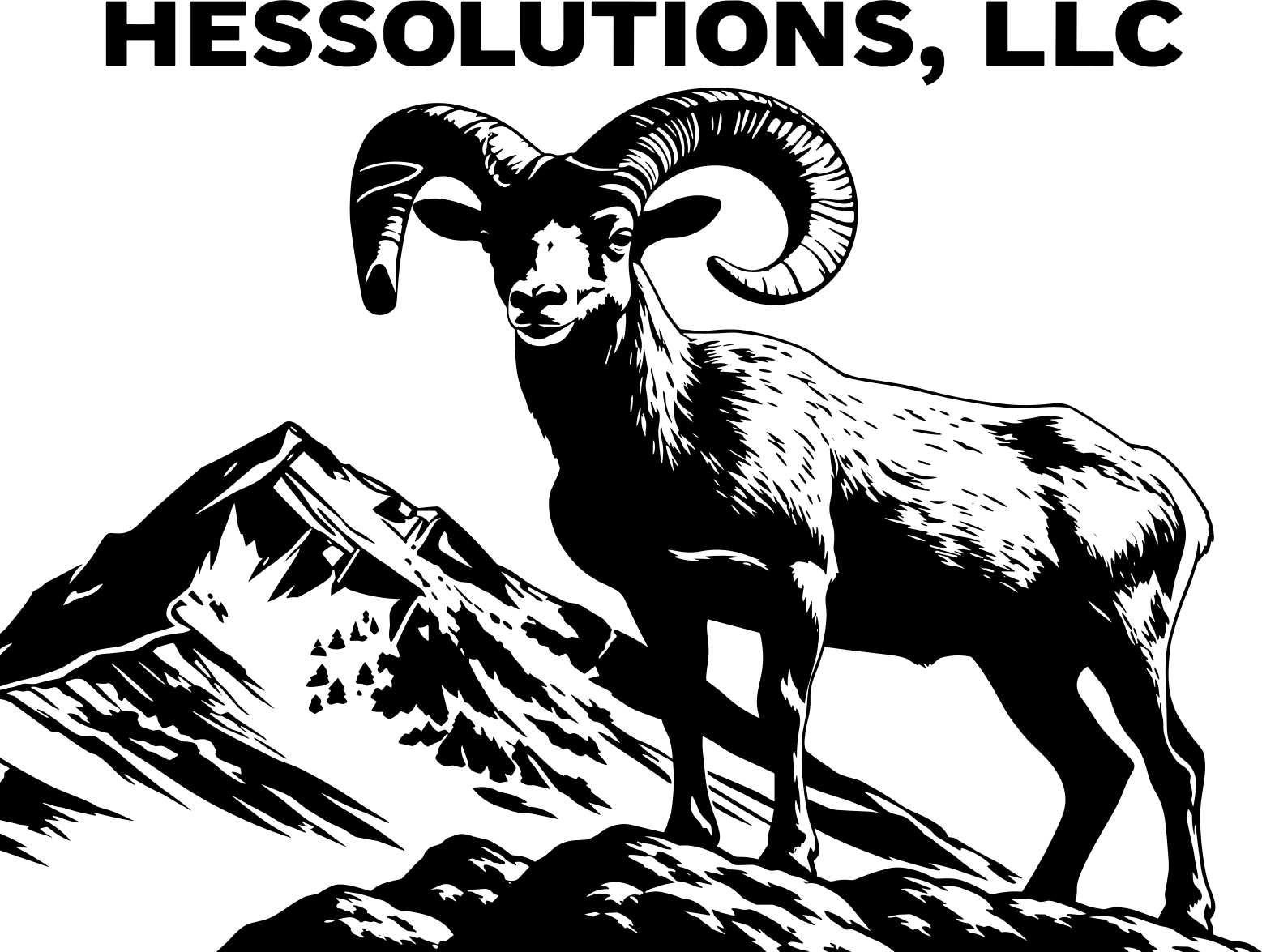 Hessolutions, LLC logo